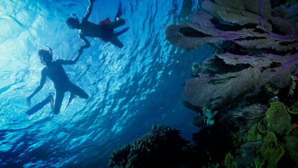 Children snorkling