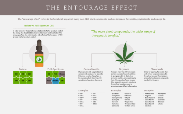 Infographic of the Entourage Effect