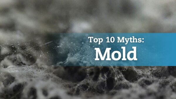Top 10 Myths About Mold (2)