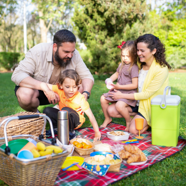 Family having a fun picnic on a lovely day