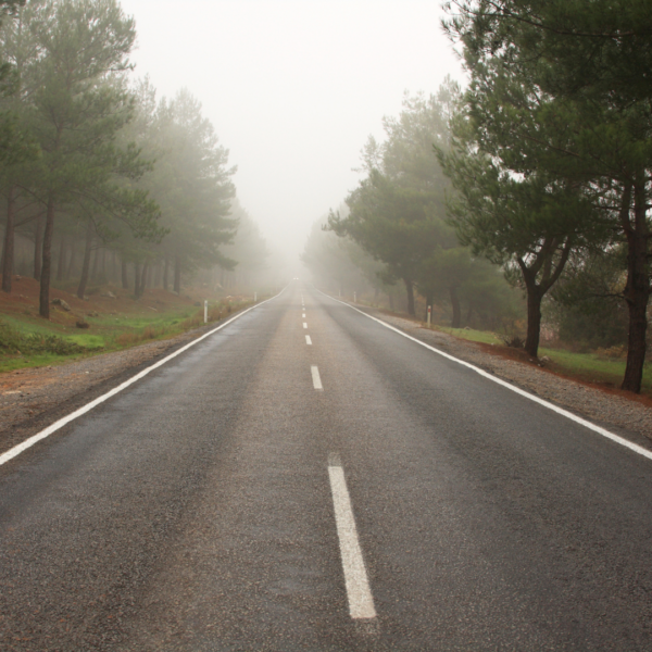A long, straight road disappearing into dense fog, framed by trees—symbolizing uncertainty, a long journey ahead, or the unclear path of healing.