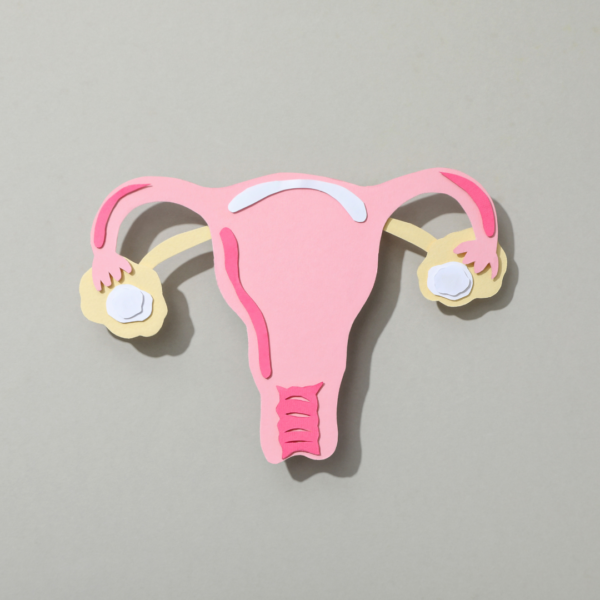 A simple cutout-style illustration of the female reproductive system, showing the uterus, fallopian tubes, and ovaries in pastel pink and yellow colors.