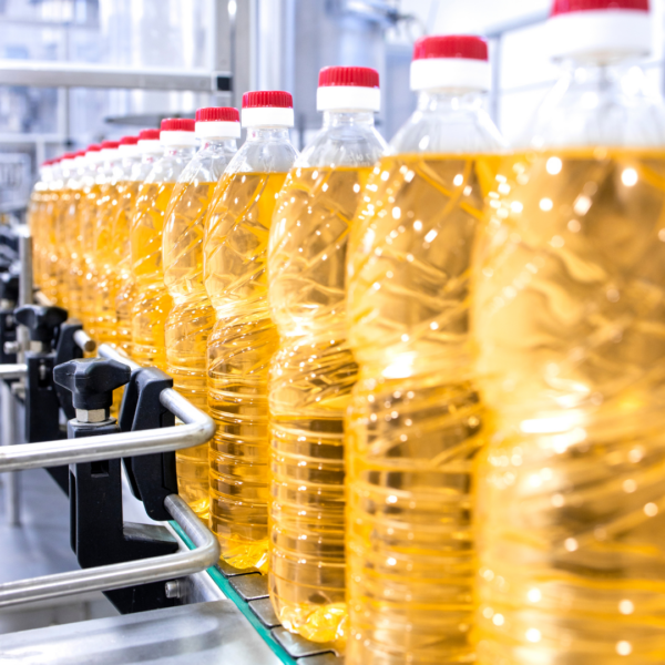 Rows of clear plastic bottles filled with yellow cooking oil moving along a conveyor belt in a food processing facility.
