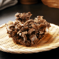 Oyster mushrooms growing on a tree, a natural source of nutrients that support immune and mental health.