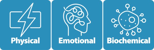 Physical, Emotional, and Biochemical Stress